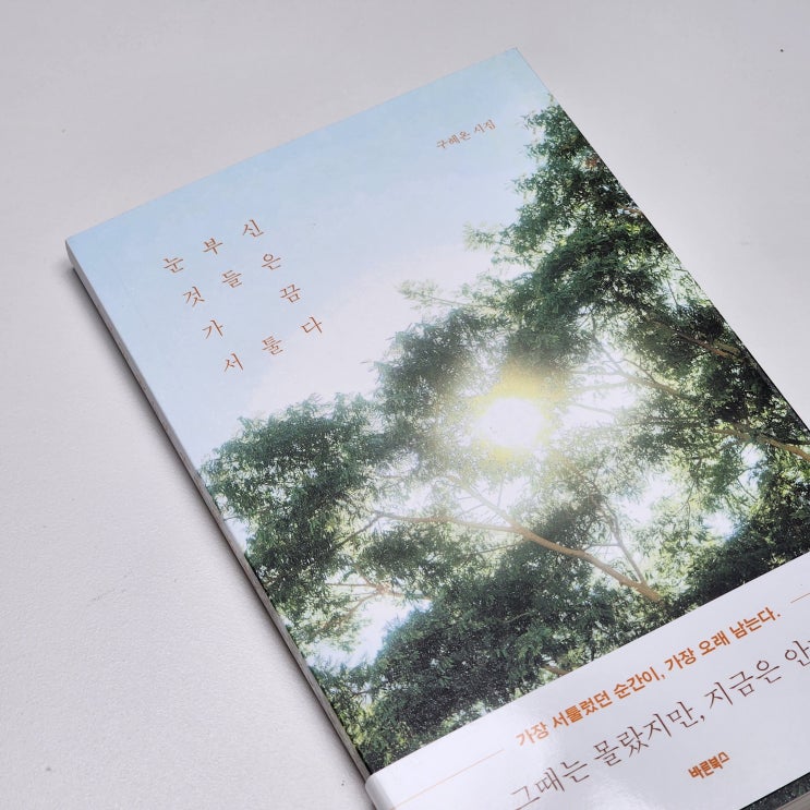  감성시집 추천 눈부신 것들은 가끔 서툴다 북리뷰