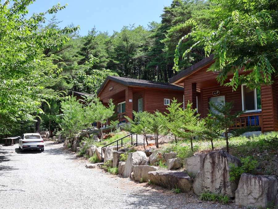 주산지산촌생태마을펜션 사진 2