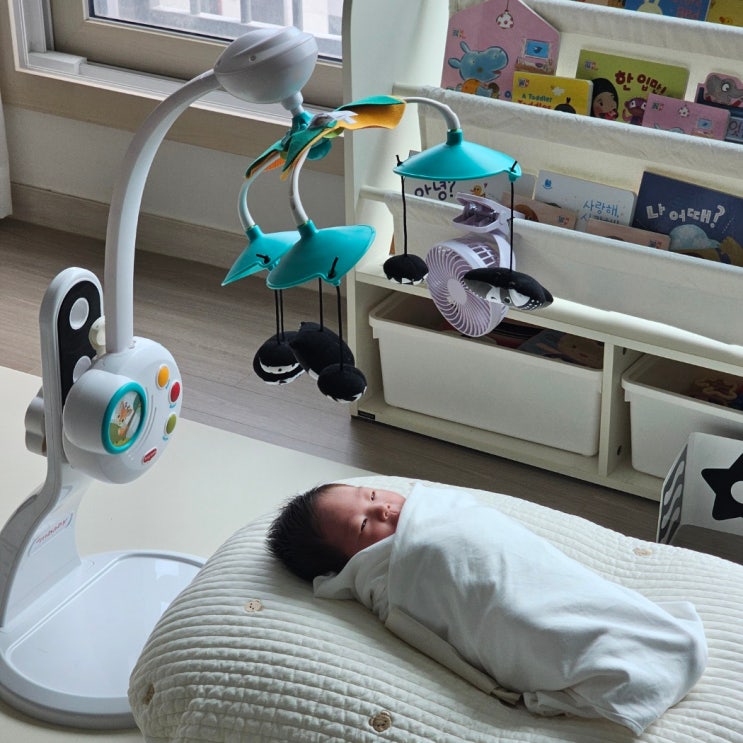  타이니모빌 당근 거래 시세, 사용법, 세탁, 실사용 후기