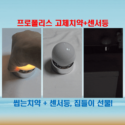 프롬민트 고체치약+센서등 케이스 씹는치약과 편리한 센서등을 한 번에!