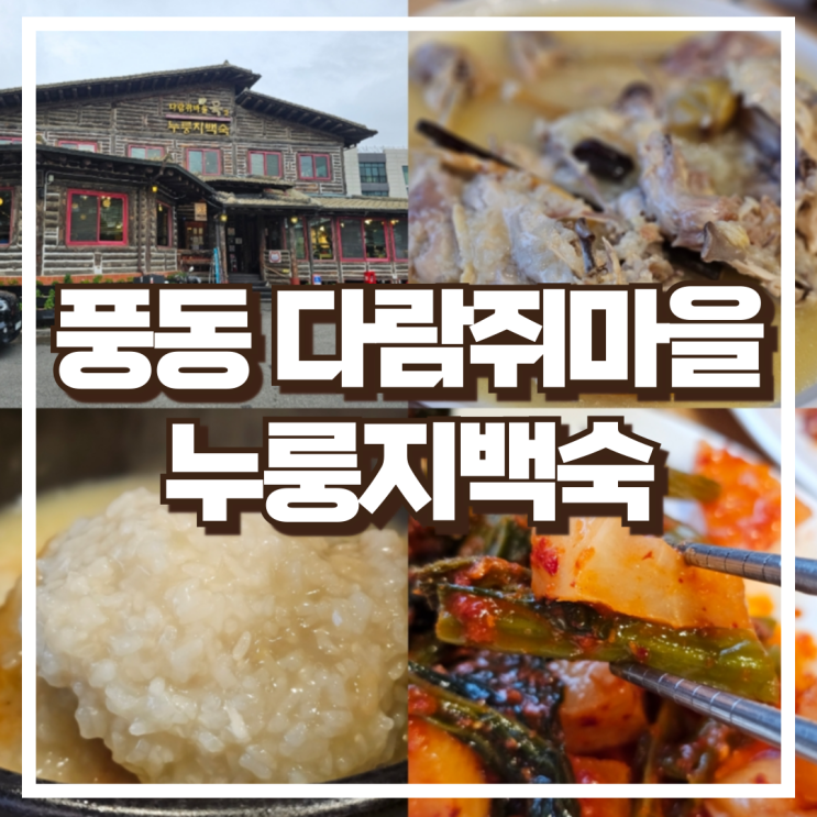  풍동 애니골 맛집 다람쥐마을 누룽지백숙 소개