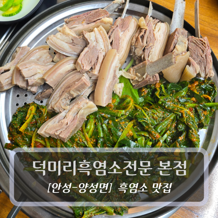  안성 흑염소 맛집 :: 덕미리흑염소전문 본점 - 흑염소 수육 및 흑염소갈비탕 후기