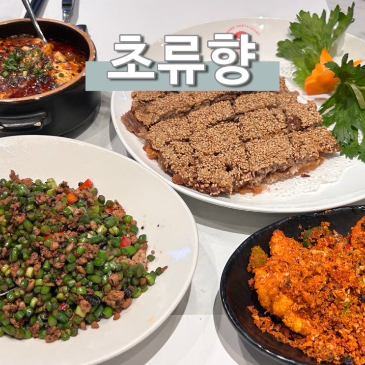  광화문 중식당 초류향 을지로입구역 맛집 룸식당 꿀조합 메뉴 추천 회식장소