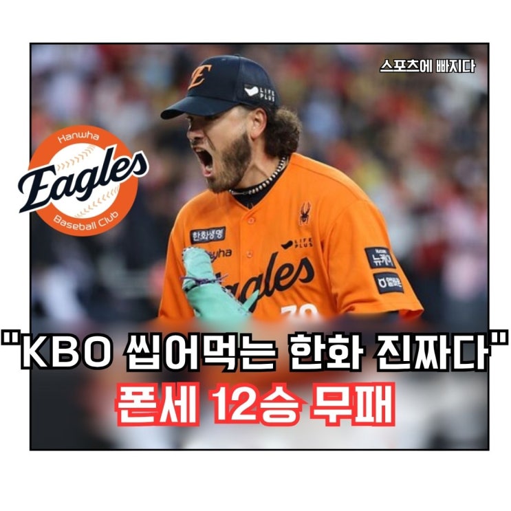  폰세 12승 무패, 한화 7연승 질주… “이 팀 진짜 달라졌다”