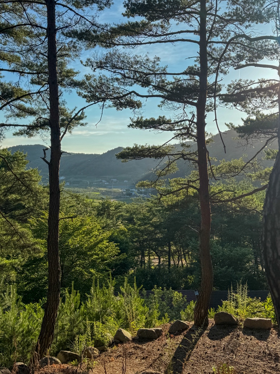 주산지산촌생태마을펜션 사진 5
