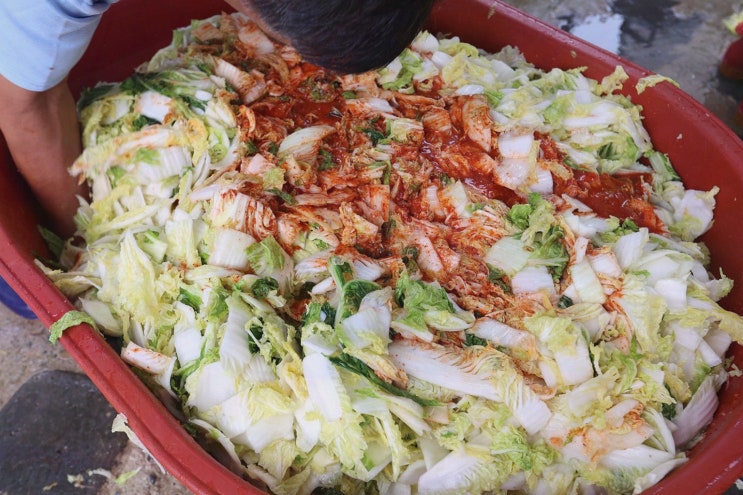  [맛집리뷰] 양양 막국수 맛집 자연면옥, 푸짐한 한식과 싱싱한 재료로 감동 경험하기