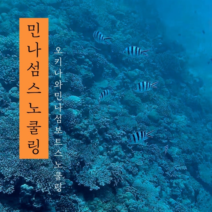  [ 민나섬 스노쿨링 ] 오키나와 북부 스노쿨링 투어 스팟 오키나오 오박사 현지인 직원 상주