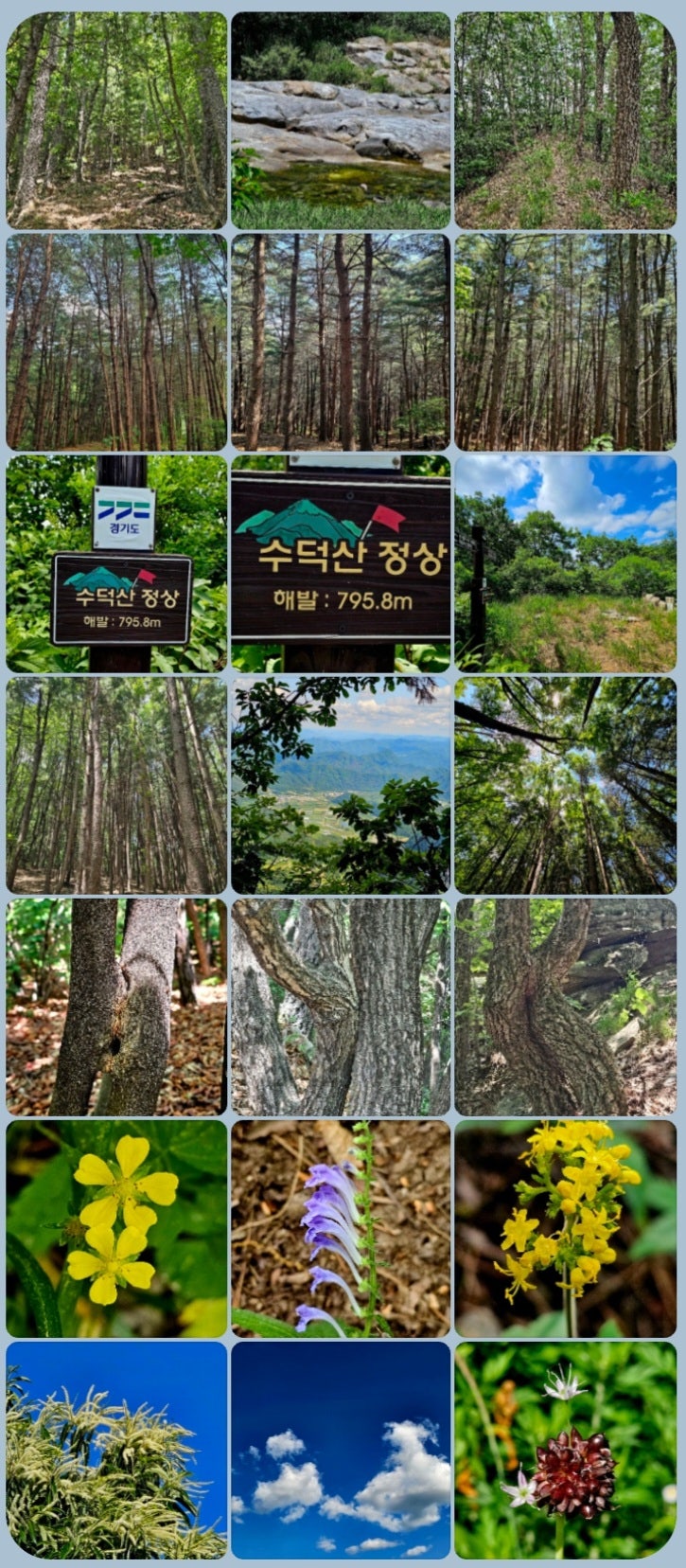 막골 사진 2