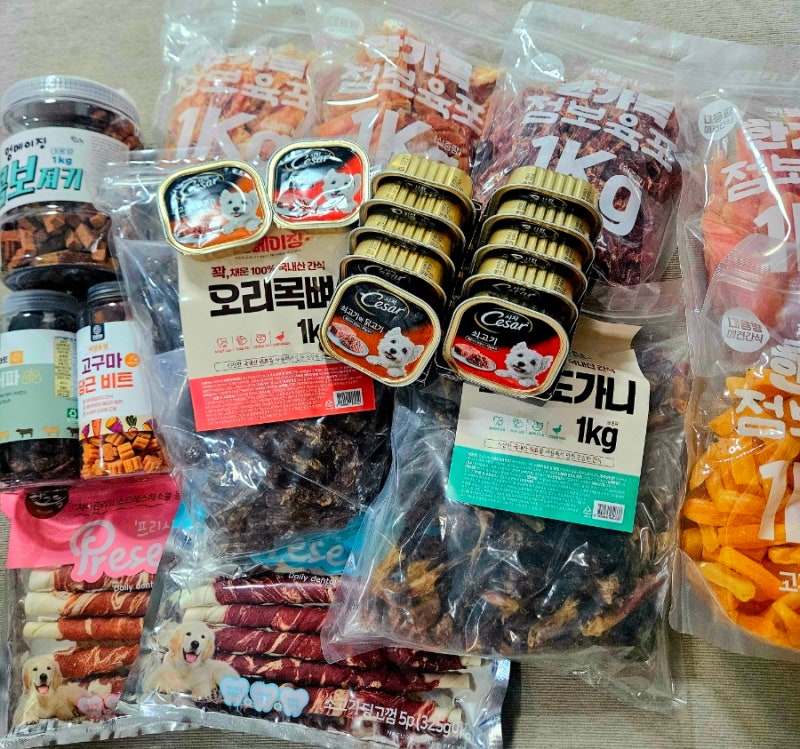 유쾌한펫