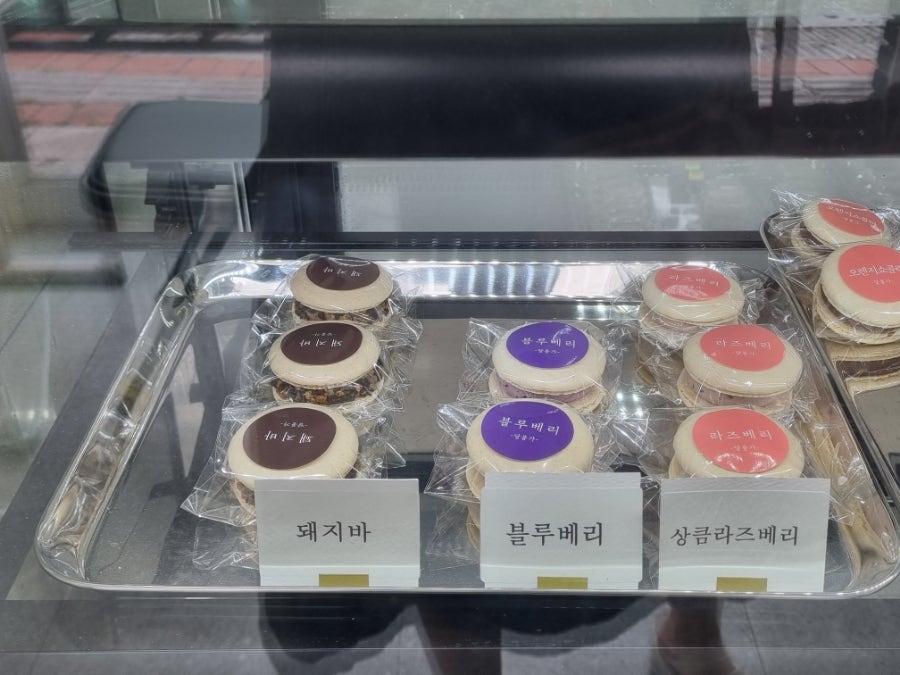 달롱가 사진 4