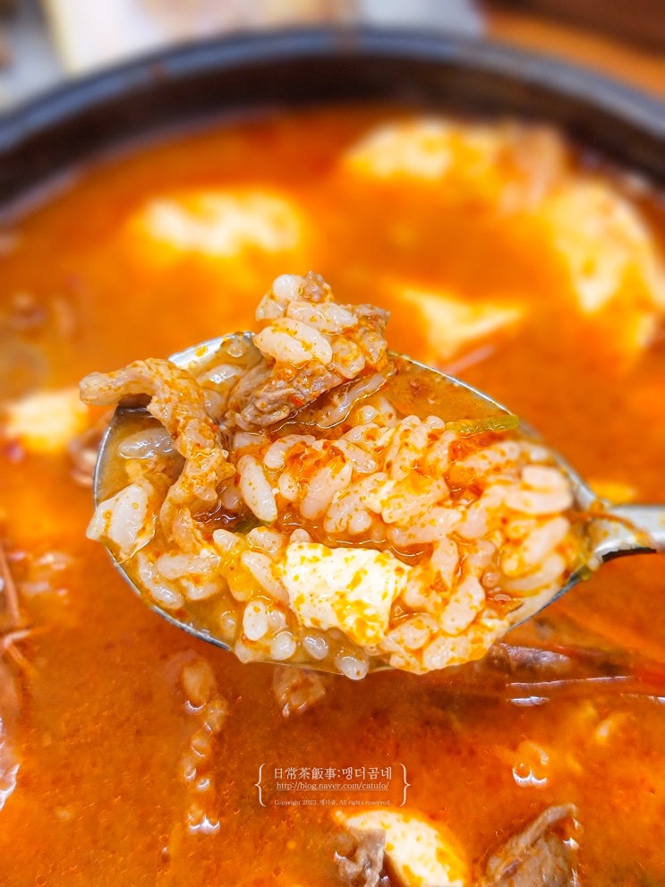  광주 상무지구 맛집 초동순두부 점심 해장 추천 보쌈 콩물국수 주차