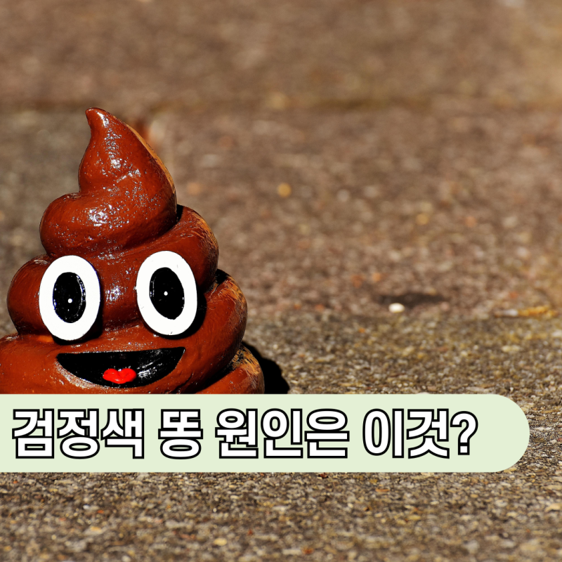 검정색 똥 색깔 이유 설사 원인 : 철분제 체크하기