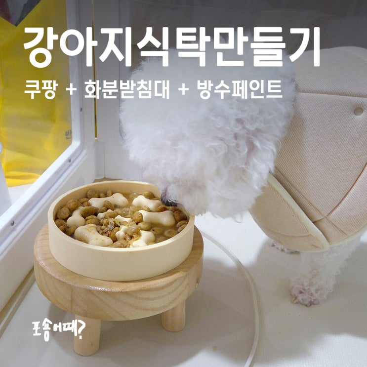  쿠팡 다이소? 1만원대로 강아지 식탁 만들기 성공