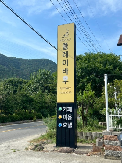 사진 3