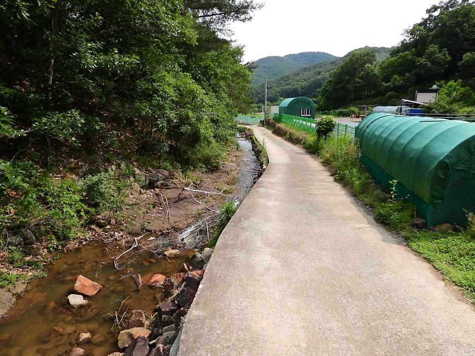 Sangdeokji photo 6