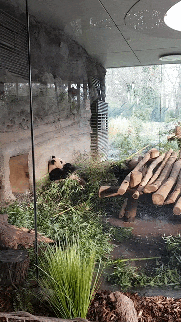  독일 베를린 동물원 [Zoo Berlin]
