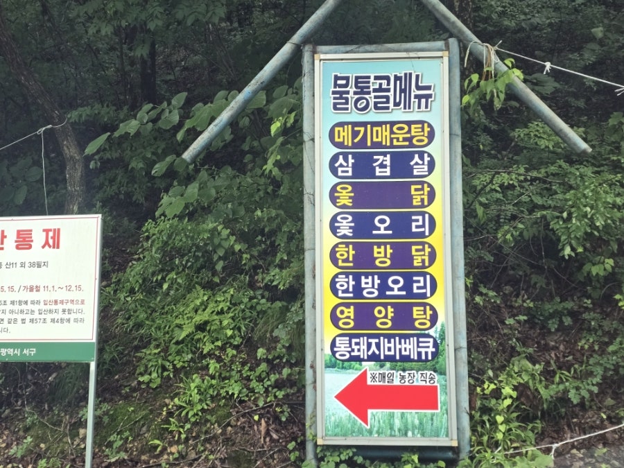 물통골펜션가든 사진 5