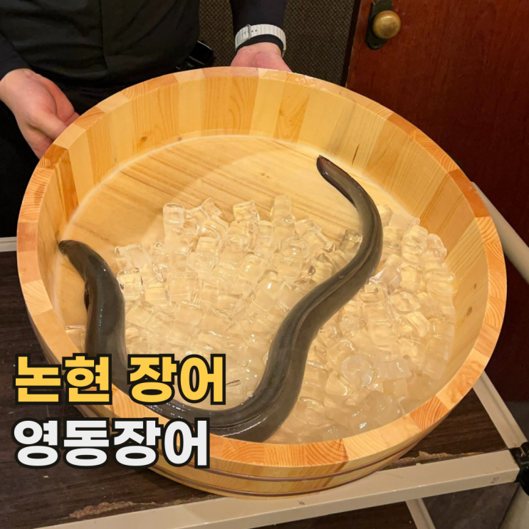 논현 영동장어 복날 보양식으로 추천하는 갯벌장어