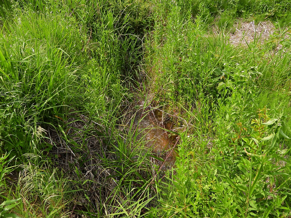 Sangdeokji photo 3