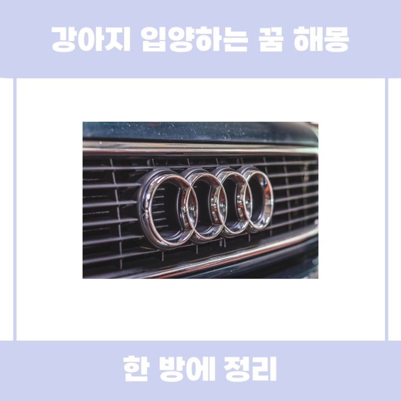 강아지 입양하는 꿈 해몽의 의미를 알아봅시다