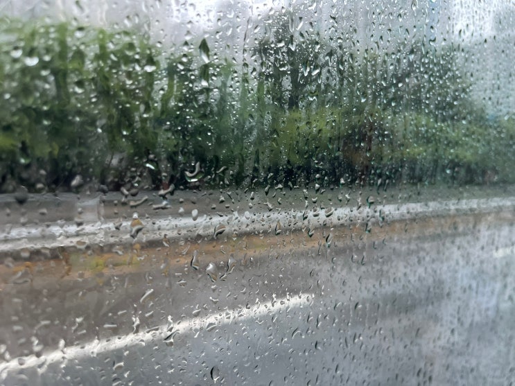  날씨 변덕하고는 참...