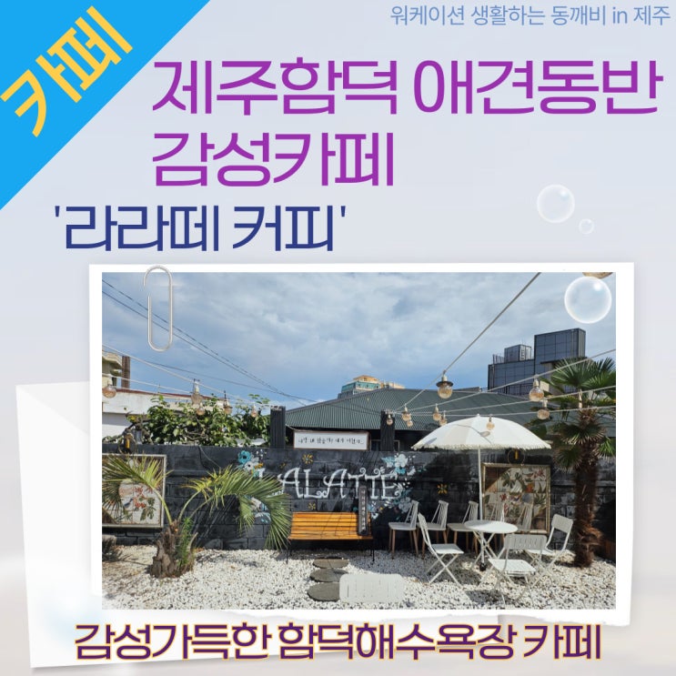  제주 애견 동반 카페 '라라떼커피', 함덕해수욕장 데이트 코스