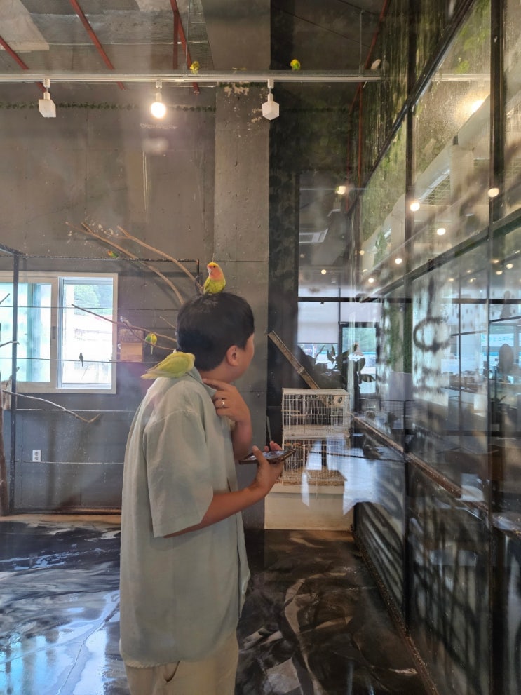  용인 아이랑 갈만한 곳 어린이카페 리프패럿 용인점 완전 분석