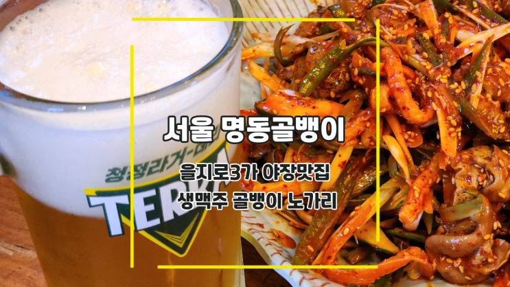  [서울 명동골뱅이] 을지로3가 야장맛집 생맥주 골뱅이 노가리