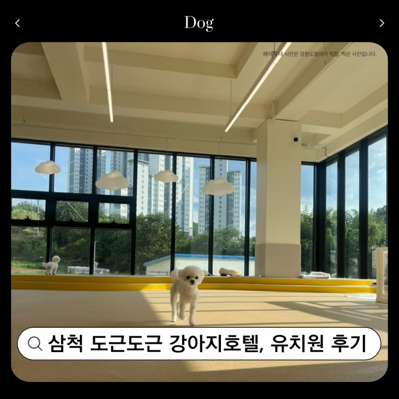 도근도근