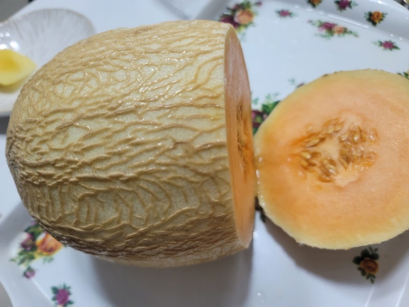 요즘 핫한 솜사탕 멜론 먹어봤어요! 새로운 품종기원과 파는 곳 가격. 멜론계의 샤인머스킷....