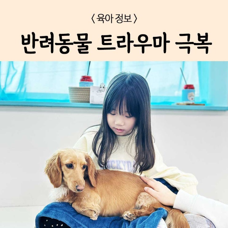  우리 아이 반려동물 트라우마 생긴 이유와 극복 후기