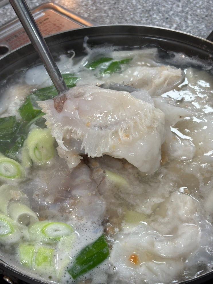  속초 현지인 맛집 야삼정 물곰탕식당 물곰탕 곰치국 속초밥집 추천