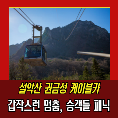  설악산 케이블카 멈춤 사고! 승객 87명, 대처 상황과 원인 분석