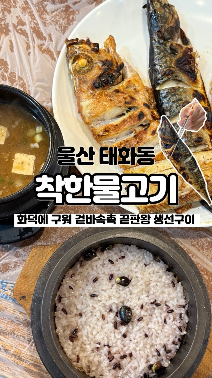  화덕에 구워 겉바속촉 가성비 좋게 든든한 한끼 울산 생선구이 맛집 착한물고기