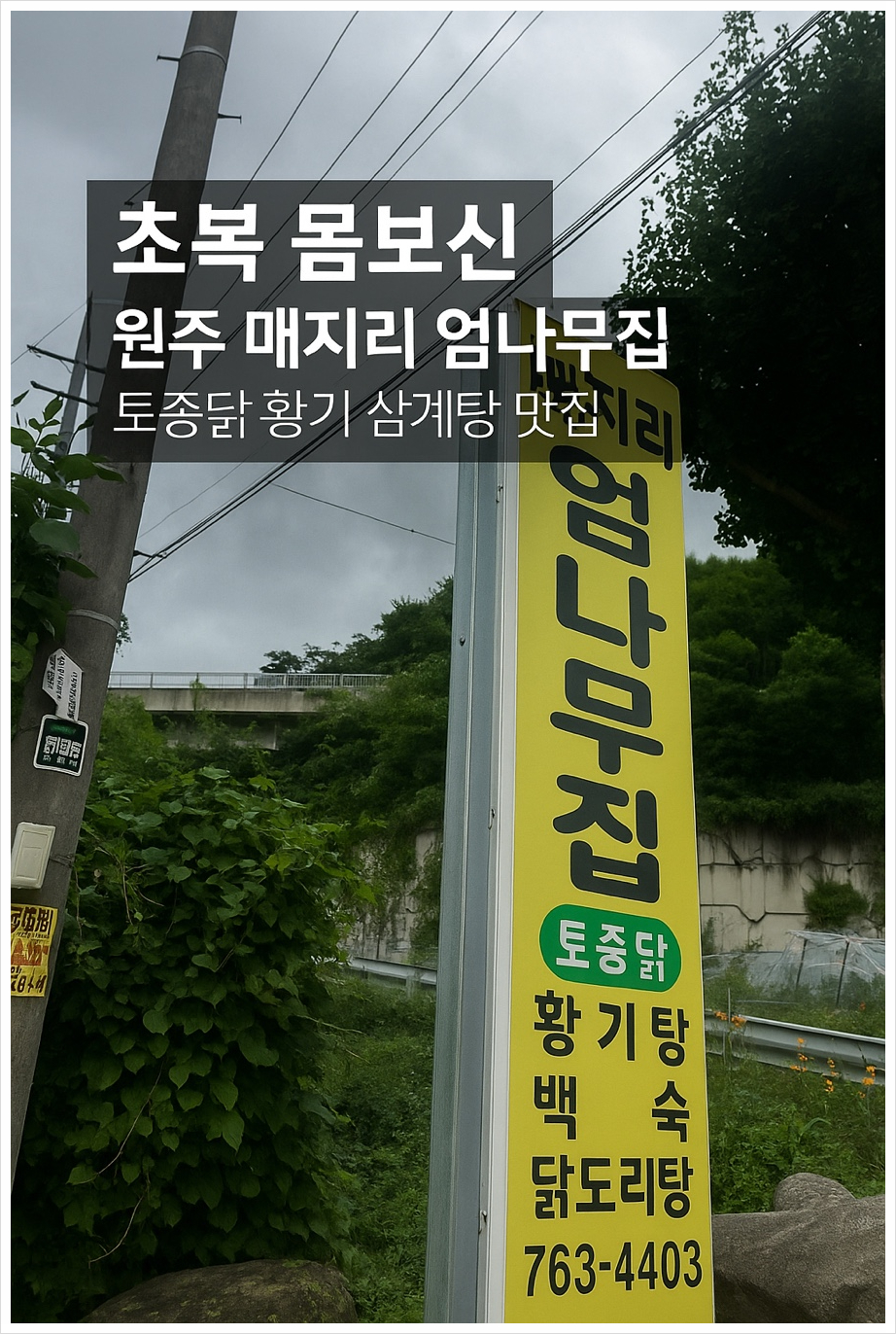 매지리엄나무집 사진 1