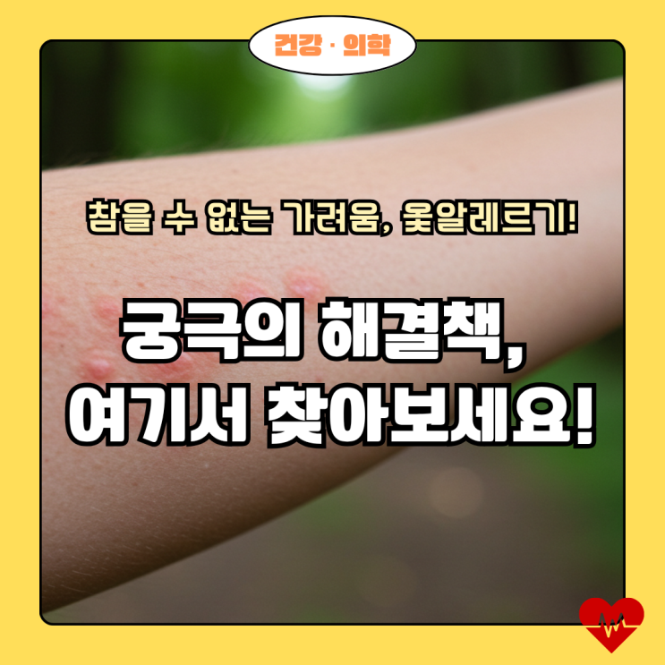  옻알레르기, 가려움에서 벗어나 편안한 일상 되찾기!