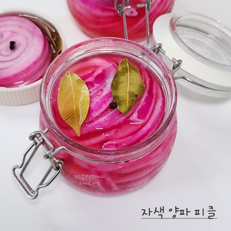 자색 양파 피클 만들기 적양파 피클 만드는 법 레시피