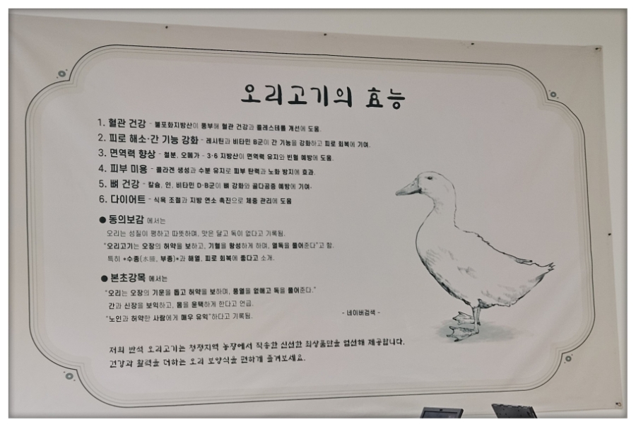 꽃물 사진 4