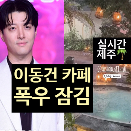  이동건 제주 카페 폭우 물바다! 실시간 근황 눈물 공개!?