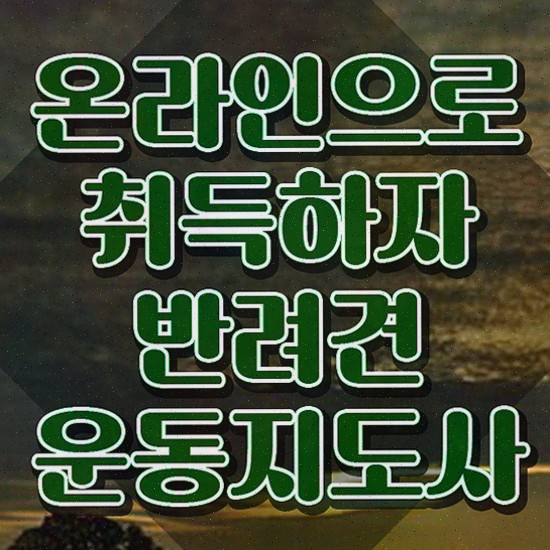  반려견운동지도사 강의 , 인강으로 간편하게 반려견운동지도사자격증 준비 과정