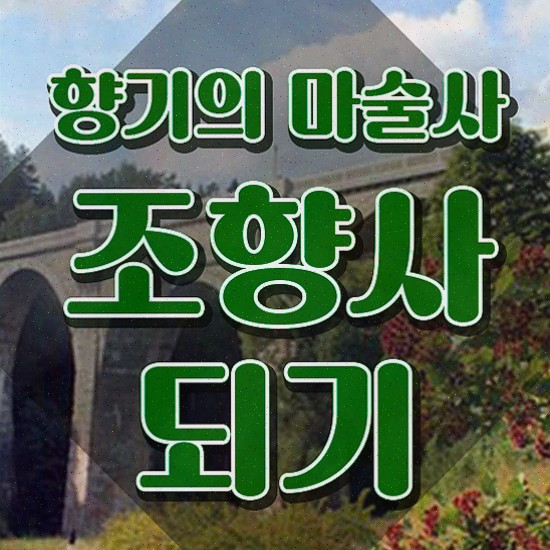  부산광안리향수공방 , 조향사자격증 합격 비법 및 구인 취업 급여