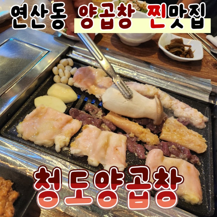  연산동 맛집 청도양곱창 부산시청양곱창 찐 회식 추천