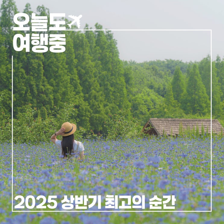  2025 상반기 최고의 순간 BEST7