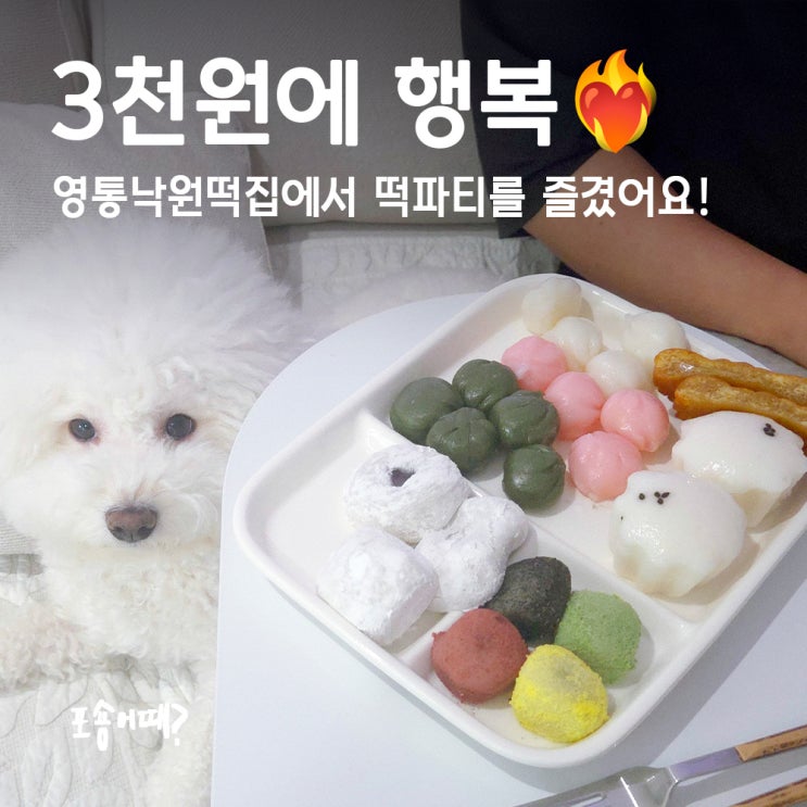  수원답례떡 맞춤제작 가능한 영통낙원떡집 솔직 후기!