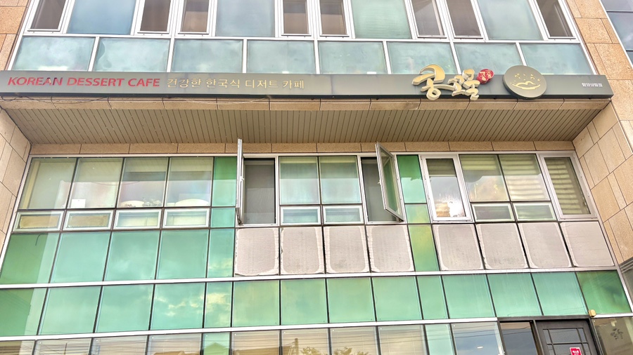 콩꼬물 사진 1