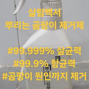 벽지곰팡이제거셀프는 살림백서 뿌리는 곰팡이제거제 추천