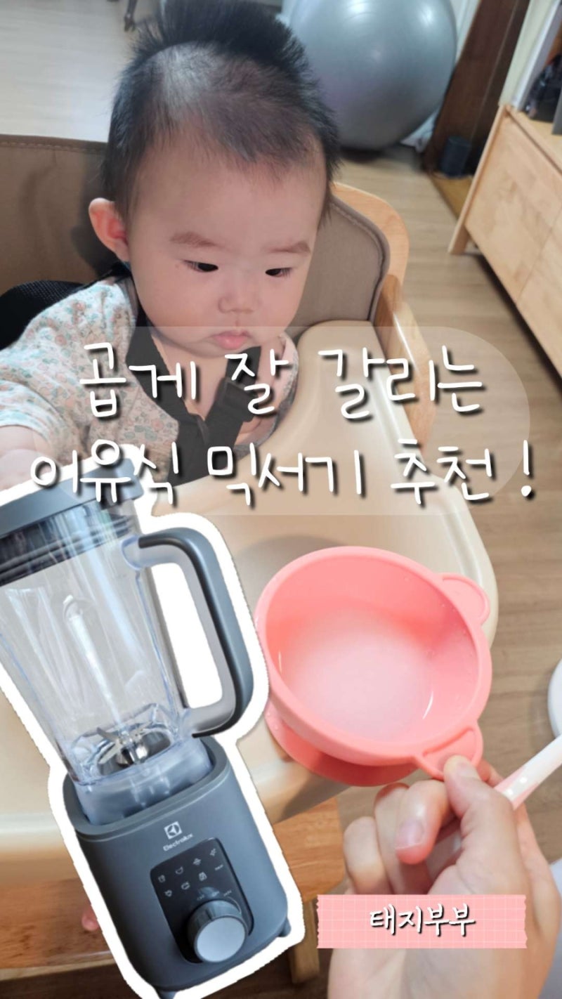 내돈내산 이유식 믹서기 추천 초고속 블렌더 일렉트로룩스