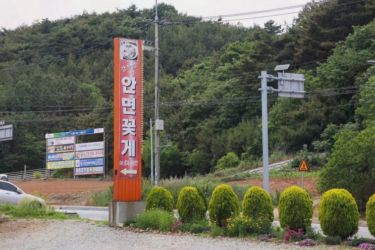  강복순의 안면꽃게, 안면도 간장게장 맛집에서 혼밥을 즐겨보세요!