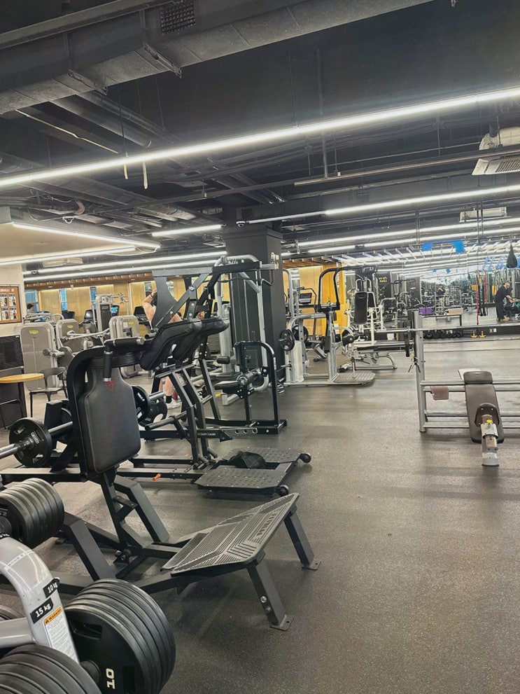  현재 강남구청 헬스장에서 썸머페스티벌로 특별 할인 혜택을 놓치지 마세요!