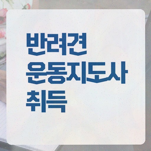  독학으로 반려견운동지도사 취득한 노하우